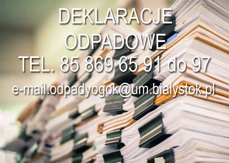 Ilustracja do artykułu deklaracje2.jpg