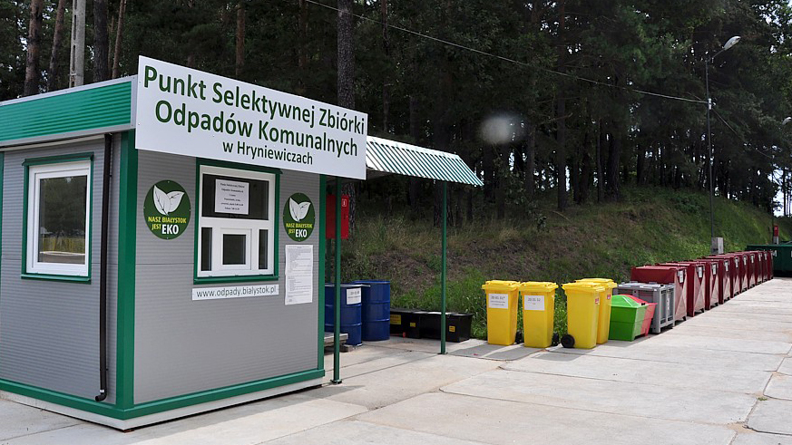 Ilustracja do artykułu pszok.jpg