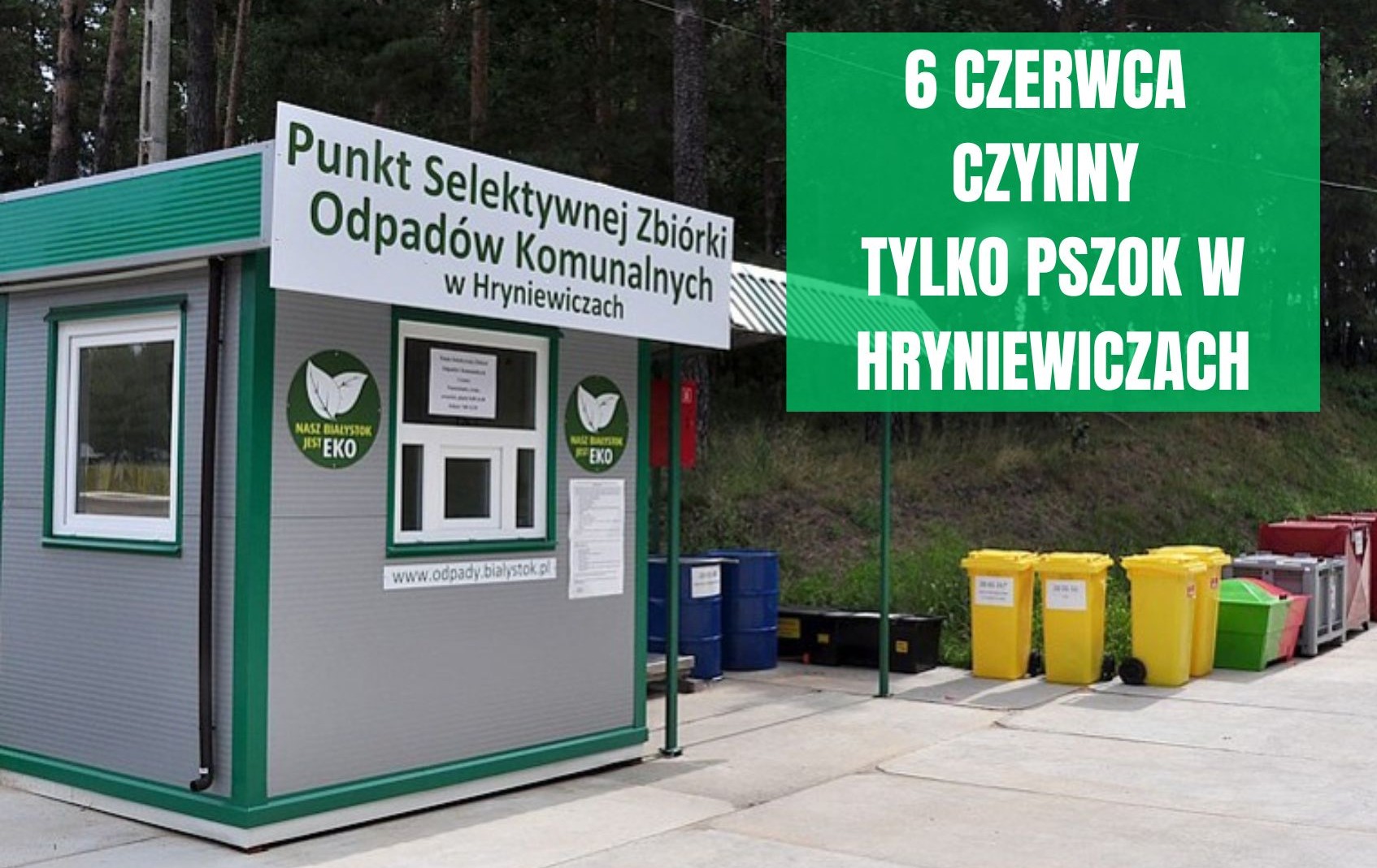 Ilustracja do artykułu pszok Hryniewicze.jpg